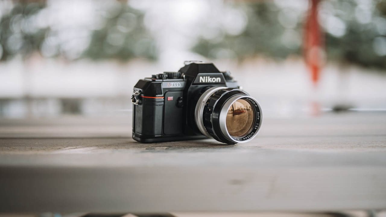Photographer setting up for an outdoor shoot, displaying a vintage camera collection, testing film gear in natural light, nostalgic photography project, camera review or product showcase session