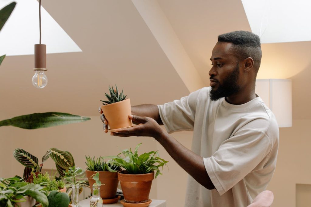 A Man Looking at a Potted Plant