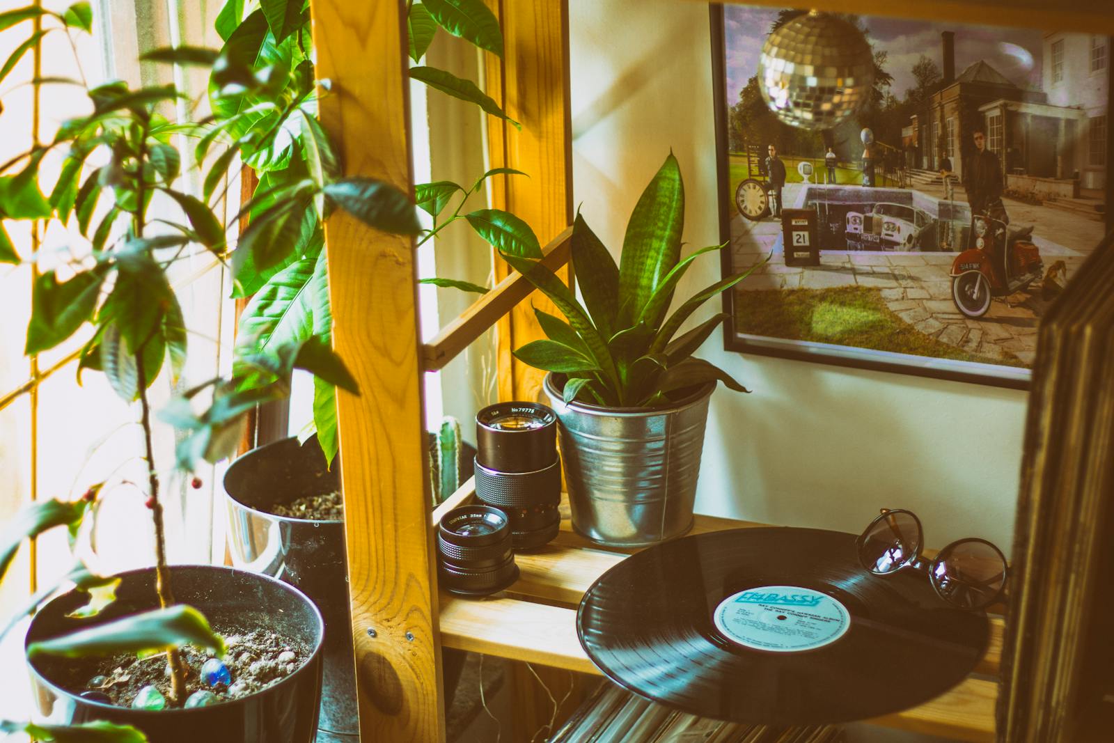A cozy room with vinyl records, houseplants, and a retro vibe.