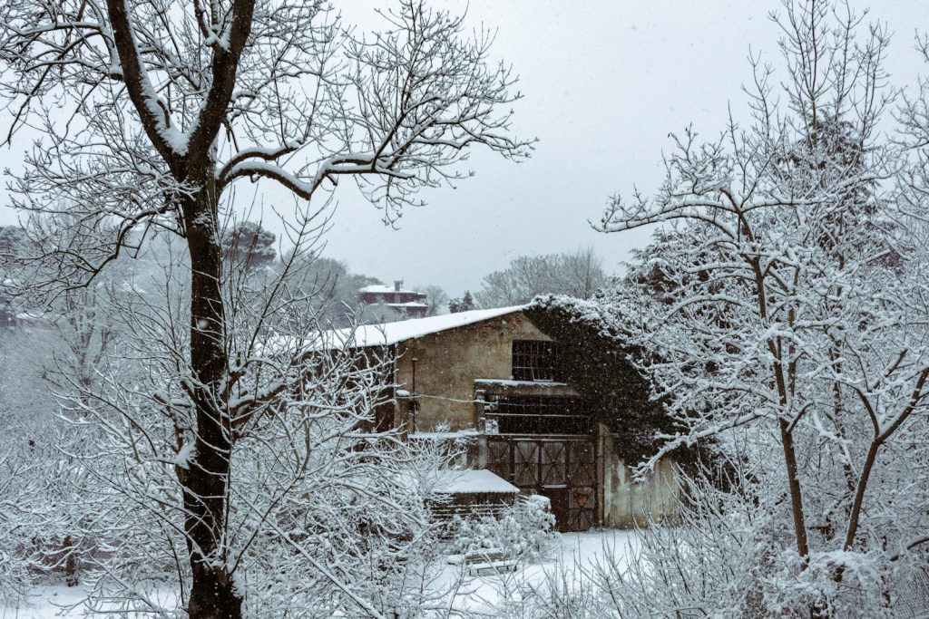 A rustic house surrounded by snow-covered trees in a serene winter landscape.