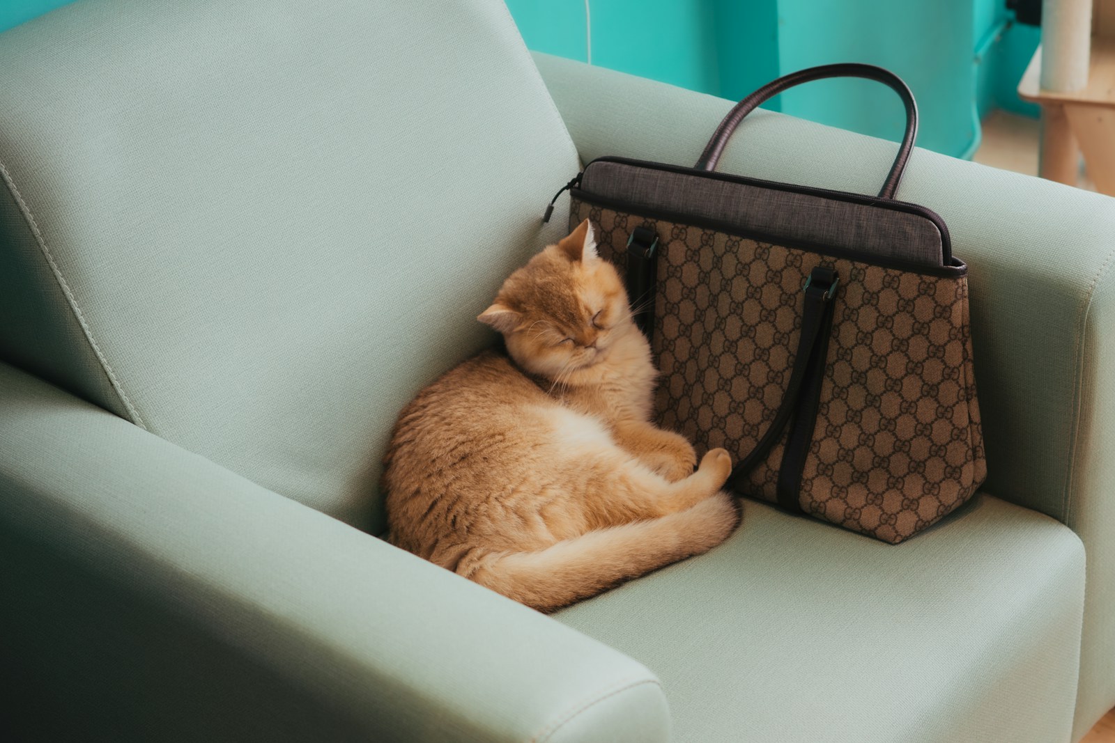 A fluffy orange cat sleeps on a mint green armchair.