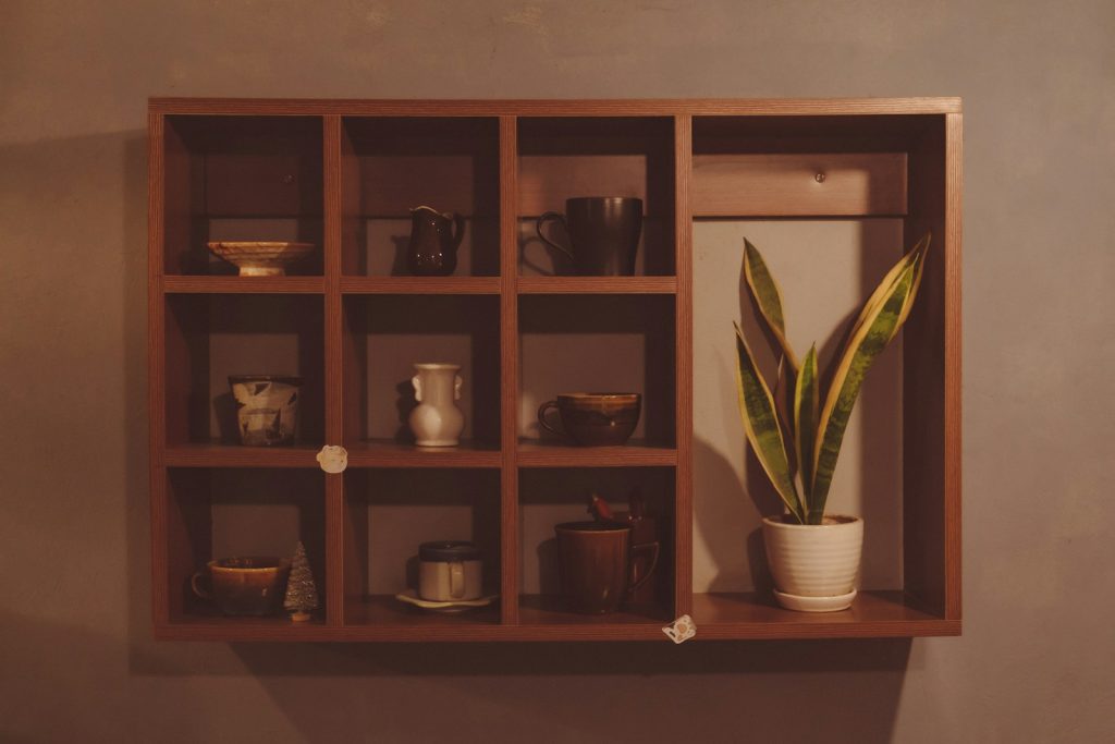 a shelf with glassware and a plant on it