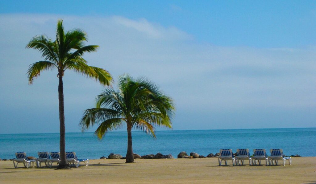 beach, florida, sun sand, palm tree, beach chair, relax, vacation, getaway, florida beach, ocean, sand, water, sea, summer, coast, travel, shore, tropical, sky, blue, coastal, landscape, resort, seashore, gulf, nature, tourism, sunny, palm, leisure, coastline, horizon, weekend