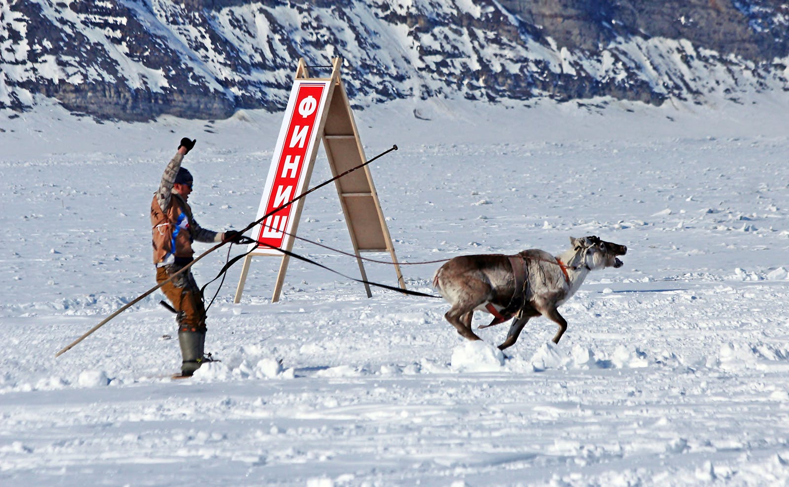 Unexpected Moment at the 2026 Winter Olympics: Stray Dog Sprints to Finish Line During Cross-Country Race