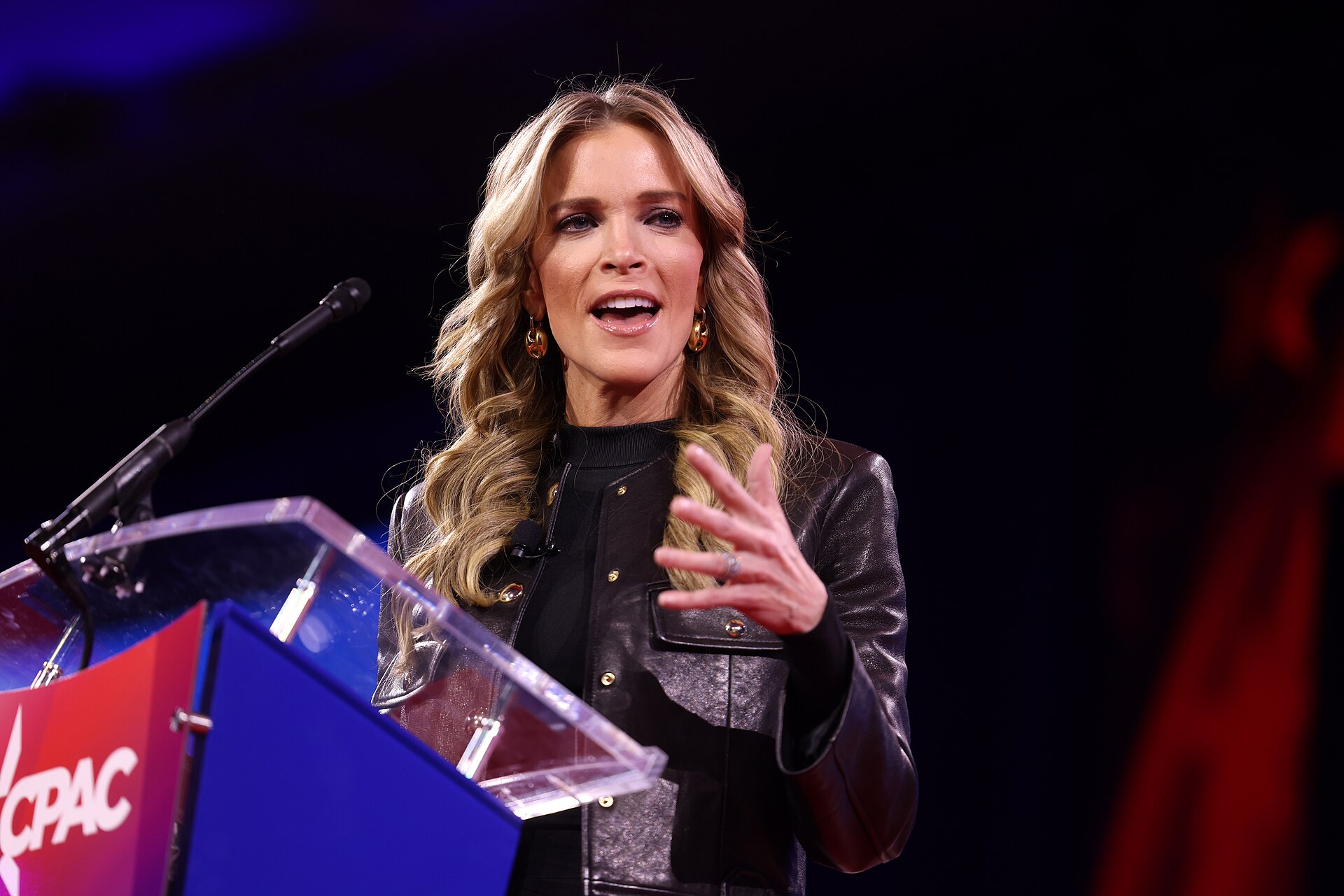 Megyn Kelly Slams Grammy Fashion “Was The Goal to Look Ridiculous?”