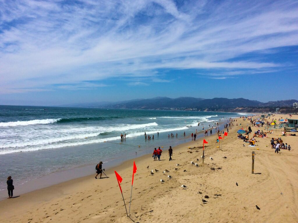 people on beach during daytime