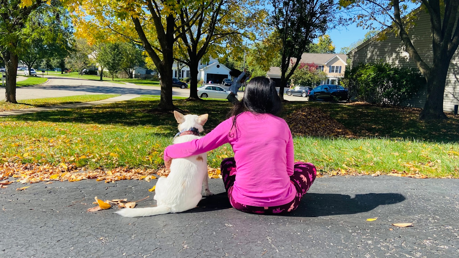 a woman sitting on the ground with a dog