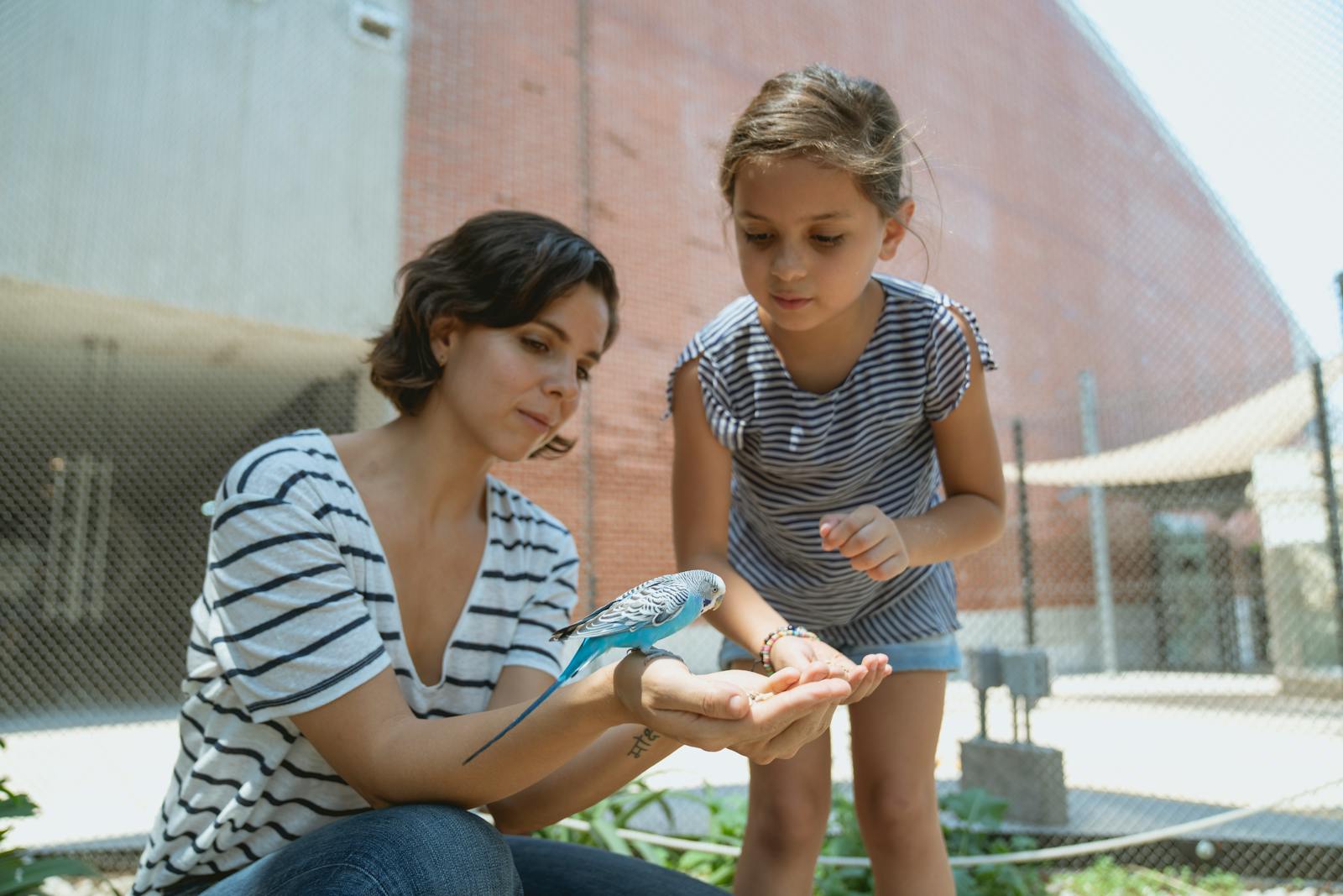 A woman and child feeding a blue parakeet in an outdoor aviary setting.