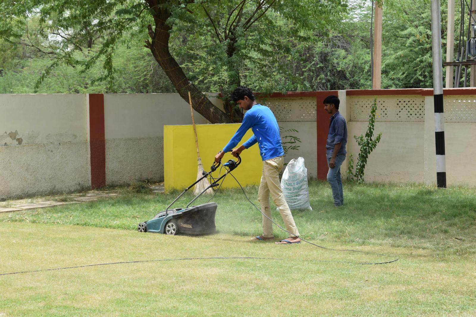 Man Says His Fake HOA President Neighbor Wouldn’t Stop Criticizing His Wild Yard, so He Turned the Guy’s Perfect Lawn Into a Full Blown Burr Covered Disaster
