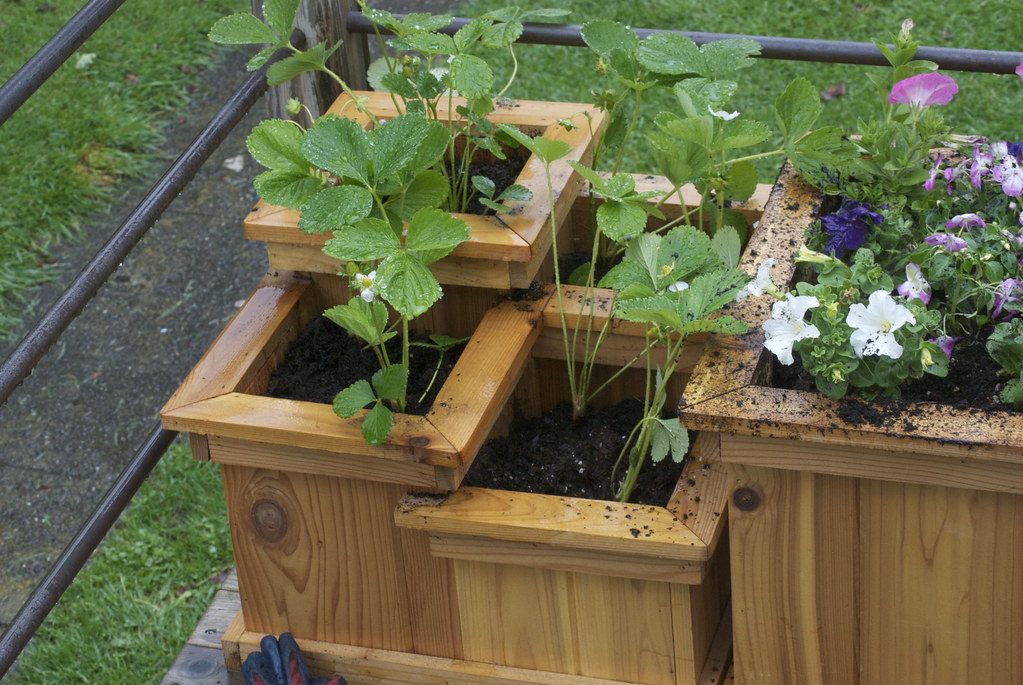 Mom Who Sent Husband the Tiered Garden Planter on Sale Got a Cheaper Knock-Off Plus a Blanket Hoodie Reading “Lazy Ass” for Mother’s Day