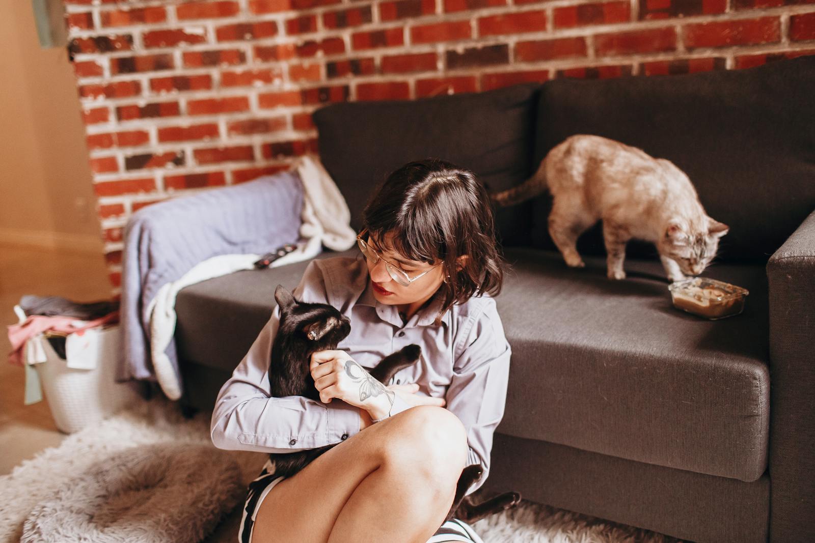 A woman lovingly cuddles a black cat indoors while another cat eats on the couch.
