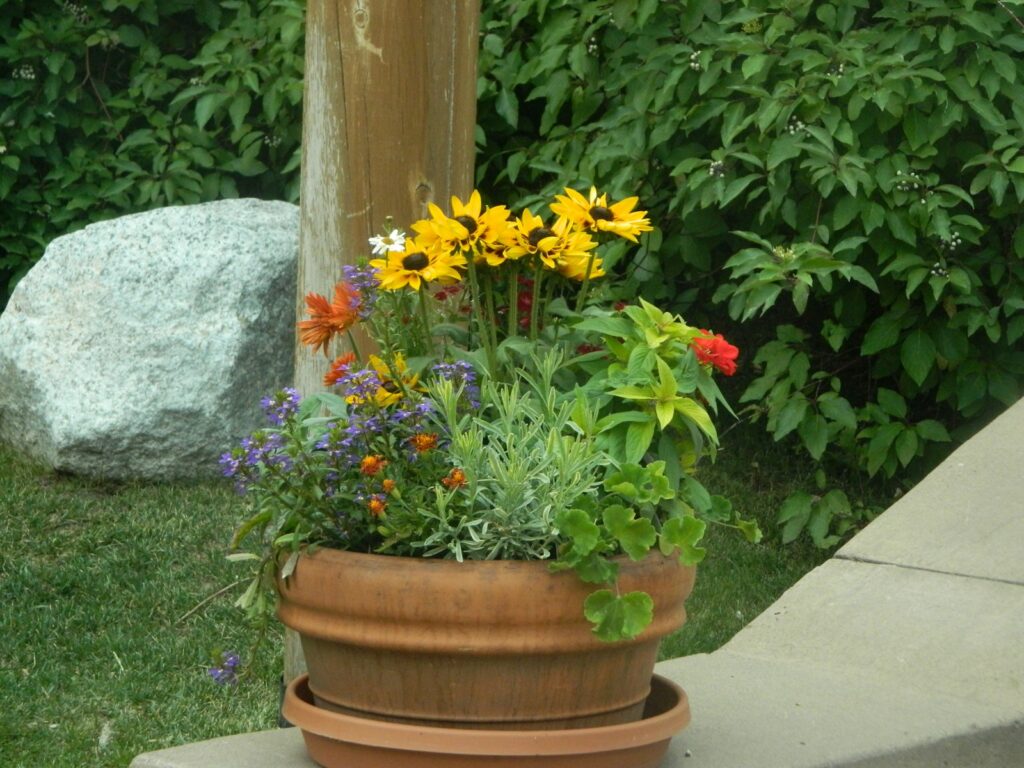 a potted planter filled with lots of flowers