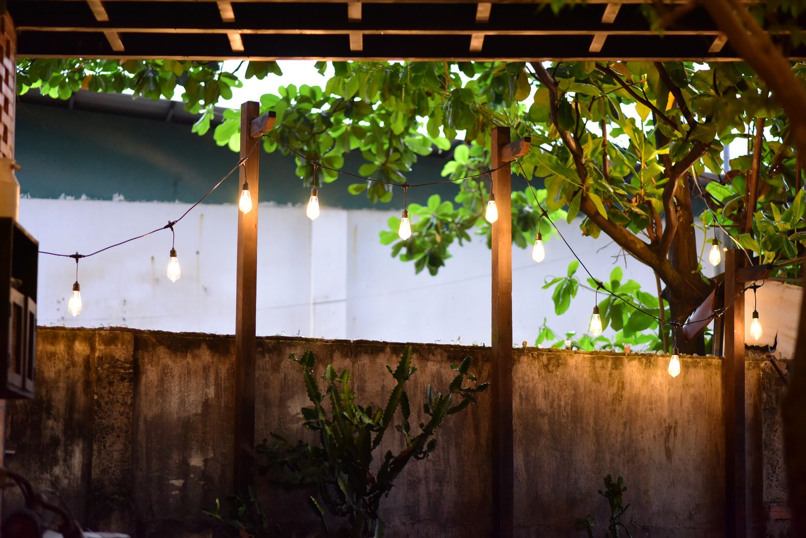 Condo Neighbor Turns A $40 Patio Light Contribution Into A $900 Refresh, Then Refuses To Remove Names Because It Would “Cause Confusion”