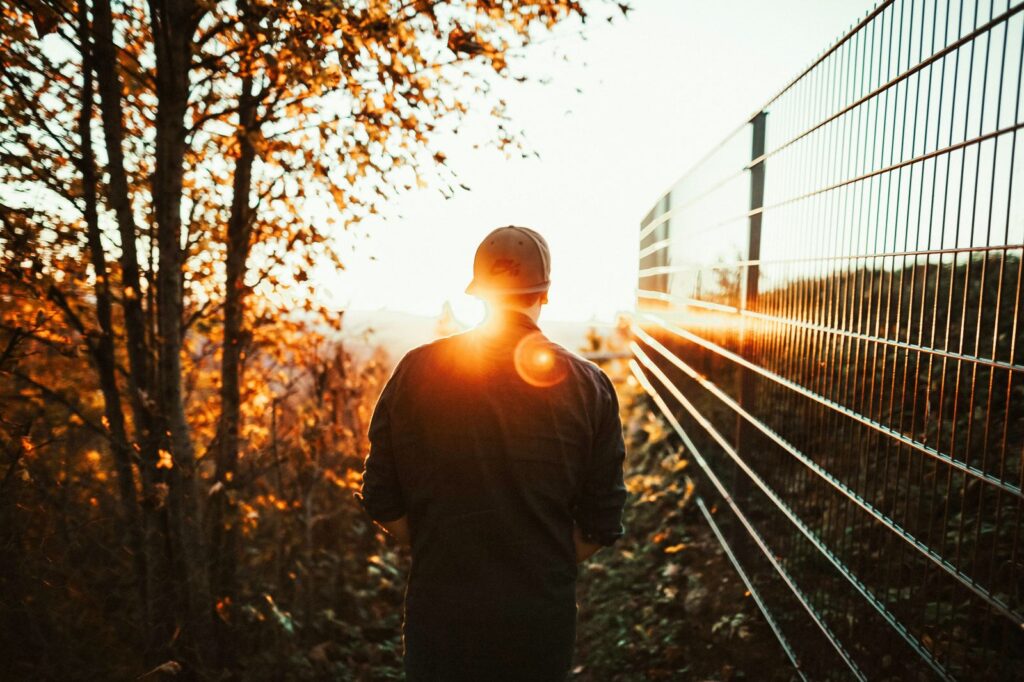 A man strolls through an autumn forest, bathed in warm sunset light.