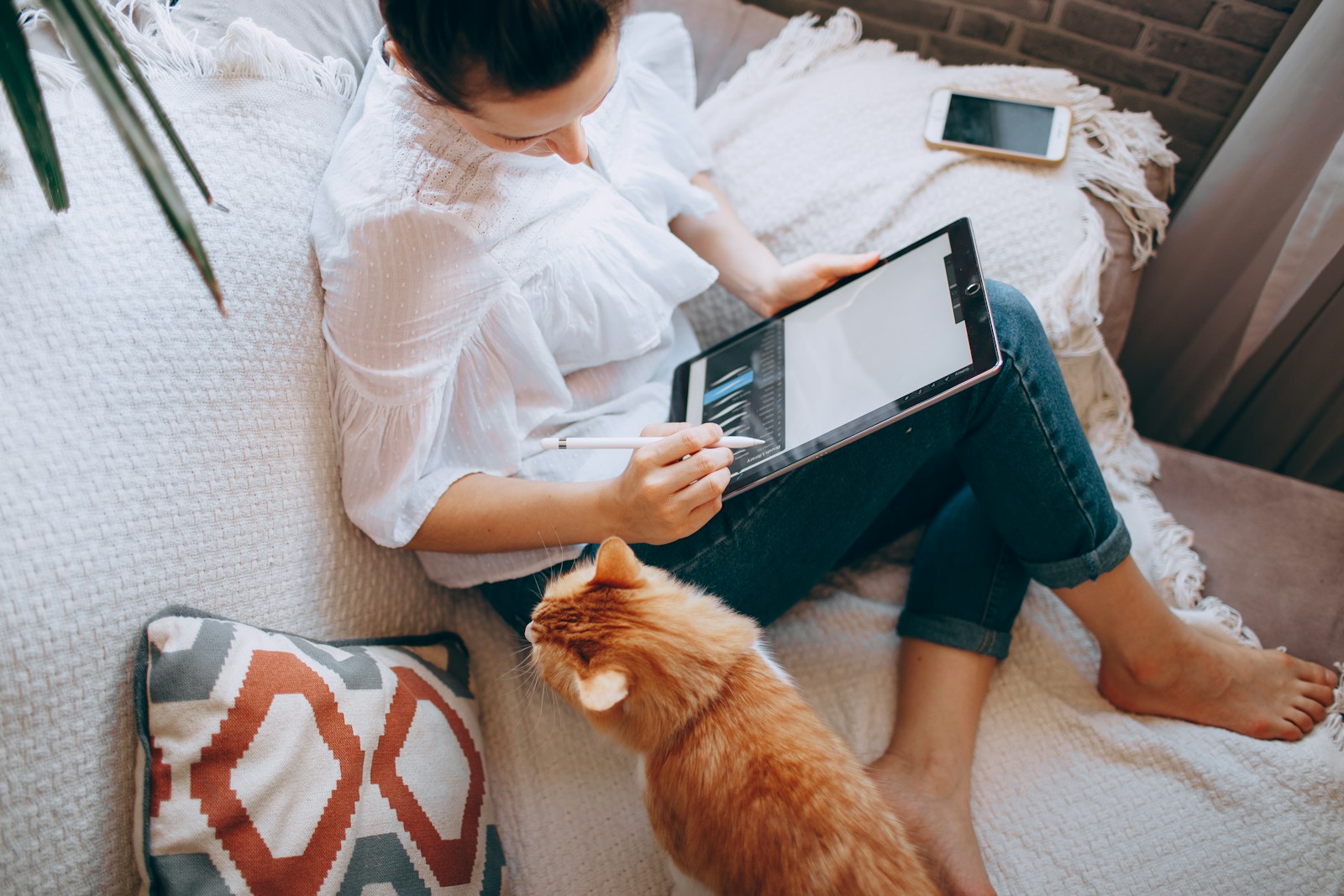 Aunt Opens The Door To Make A Young Indoor Cat Run Away, Then Says The Cat Is “Impure” Even Though She Doesn’t Live There