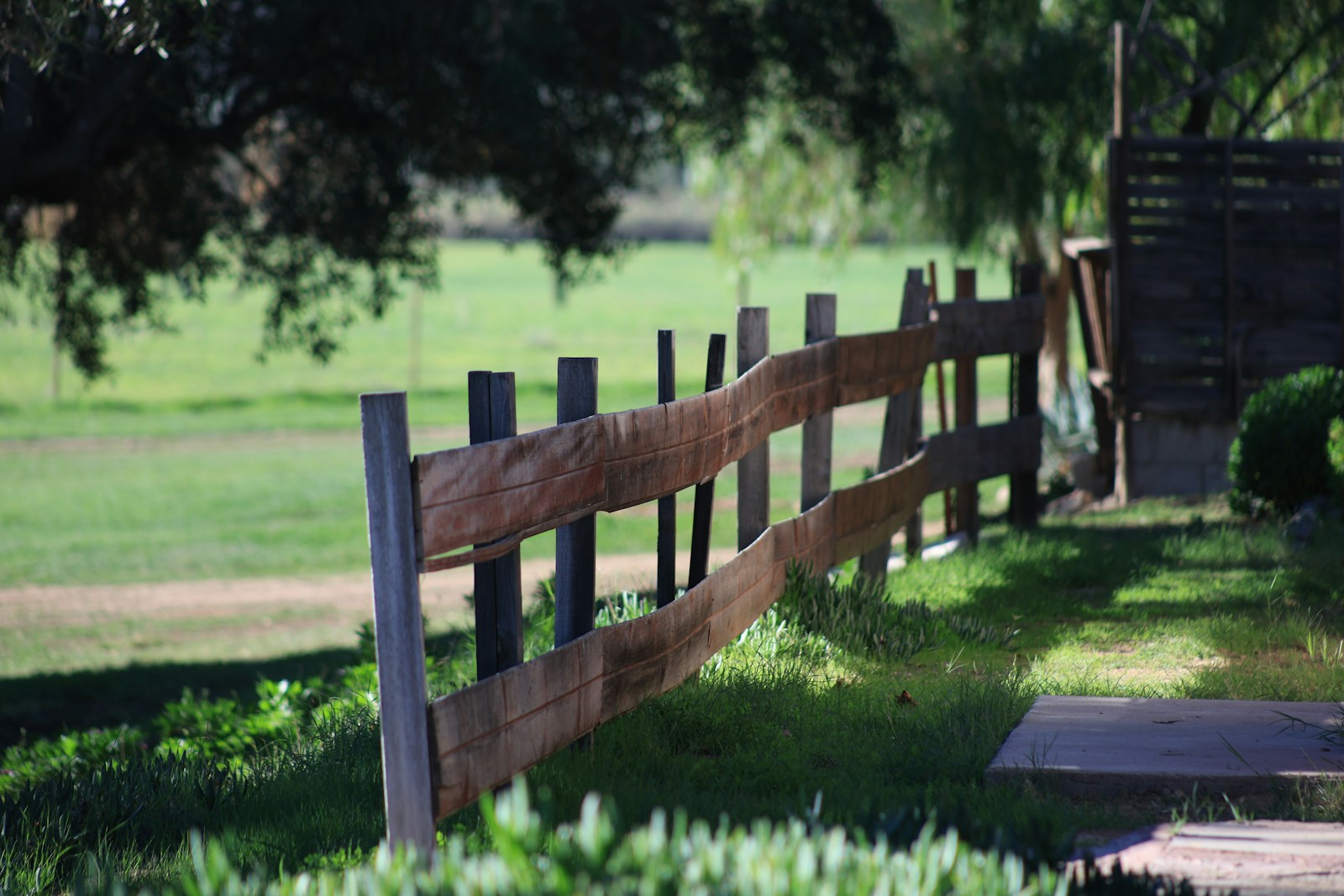 Wooden fence in a grassy field with trees