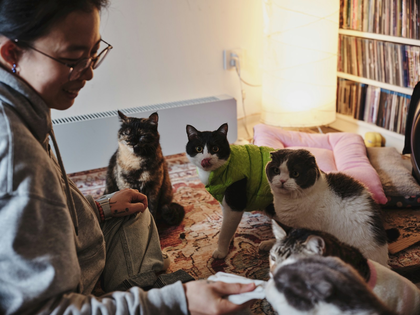 Best-Friend Roommate Leaves Cats In Filth, Lets Dishes Rot, Lets Litter Go Unscooped For A Month, Then Gets Mad When Asked To Handle Her Own Dump Run