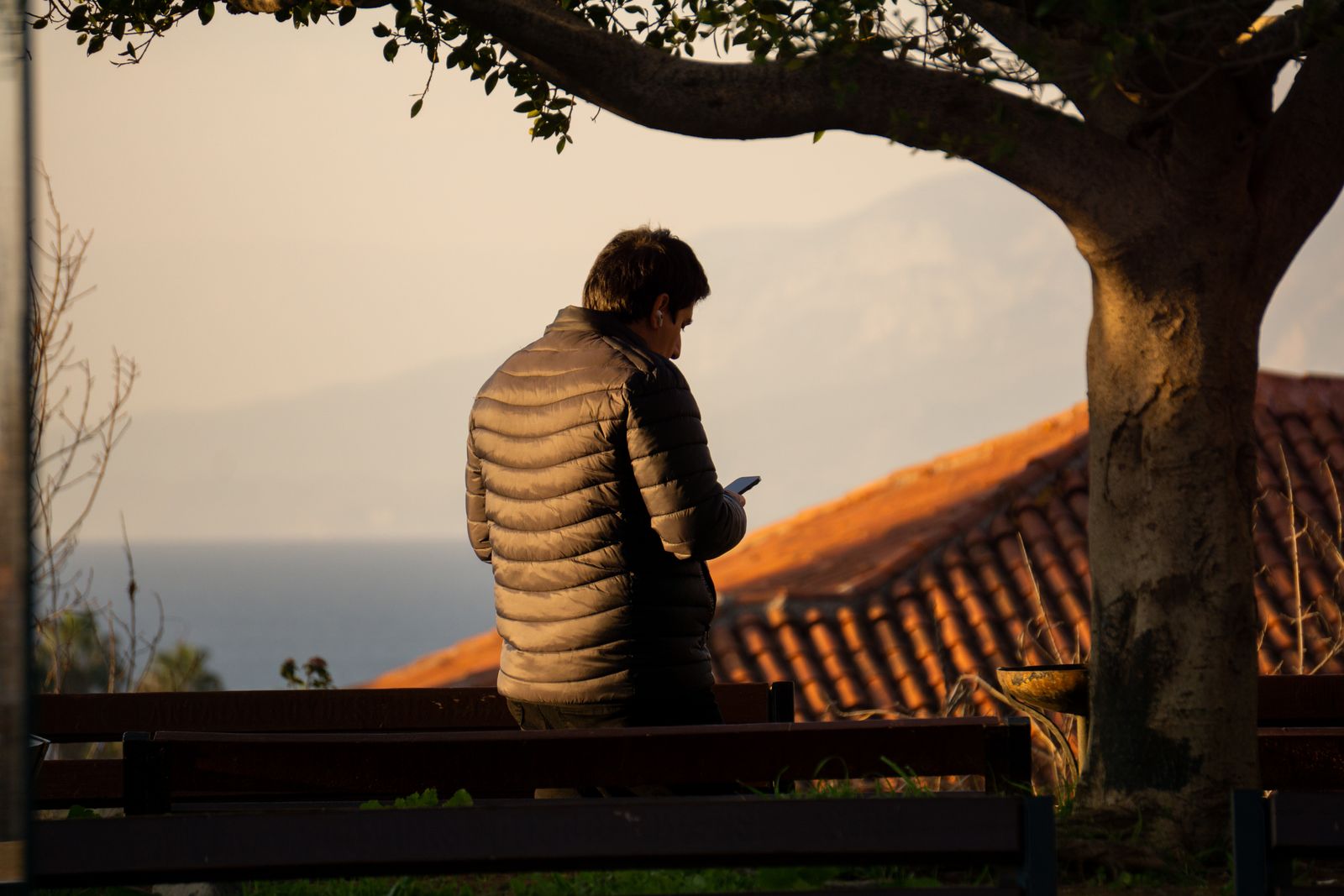Person in warm coat using phone under tree by the sea at sunset.