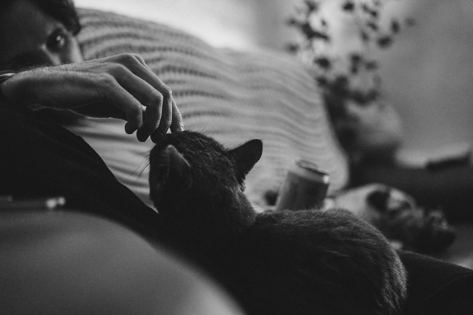 a black and white photo of a person petting a cat