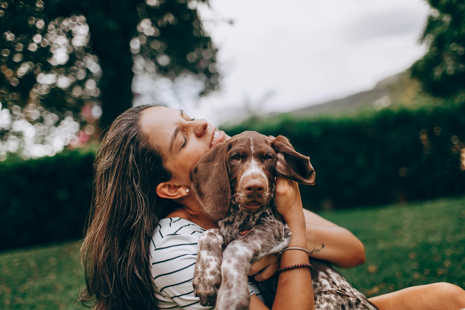 Austrian Rescue Group Tries To Take Back A Disabled Dog After Surgery Helps Her Walk, But The Adopter Fights To Keep Her