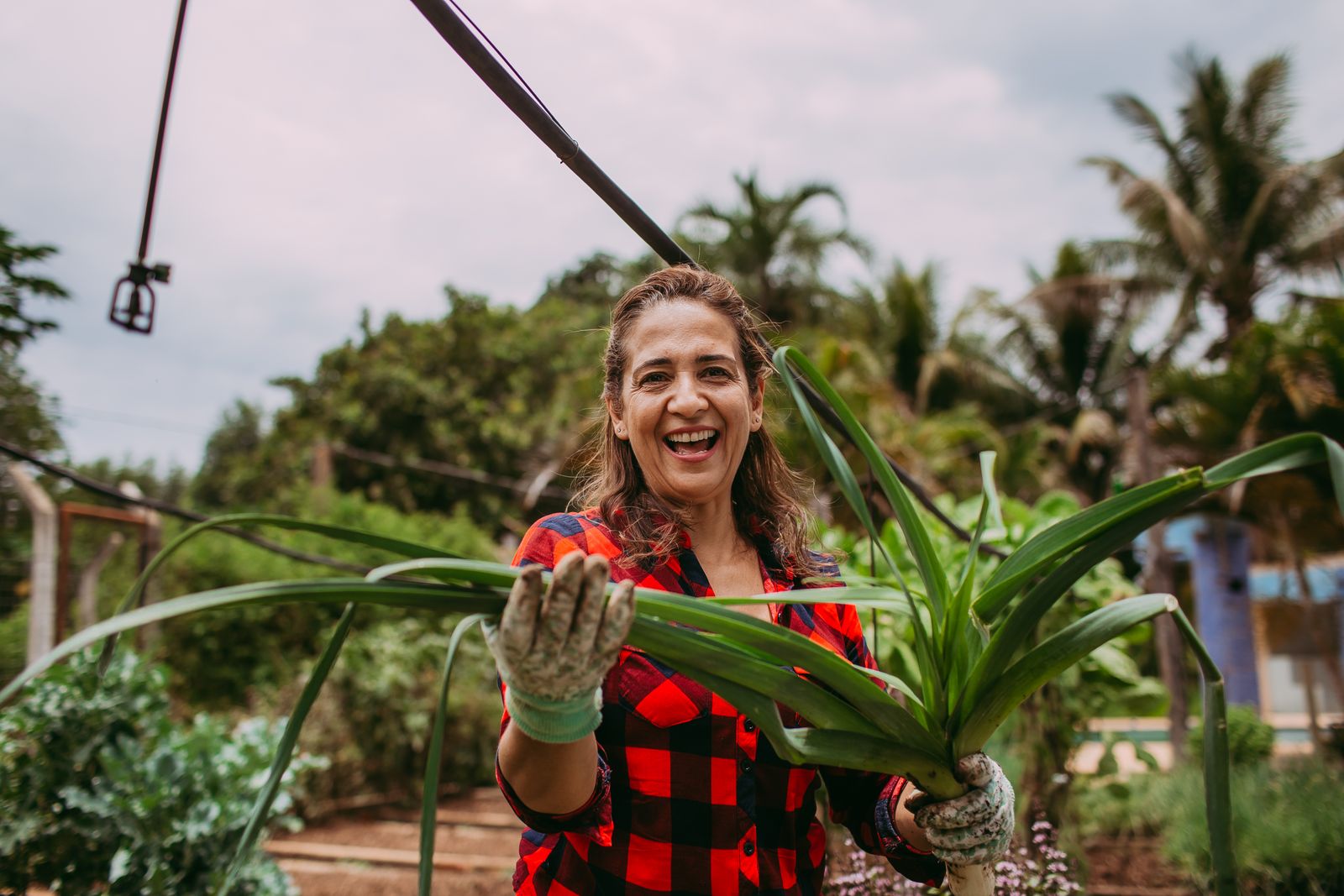 A cheerful woman in a plaid shirt gardening outdoors amidst lush greenery on a sunny day.