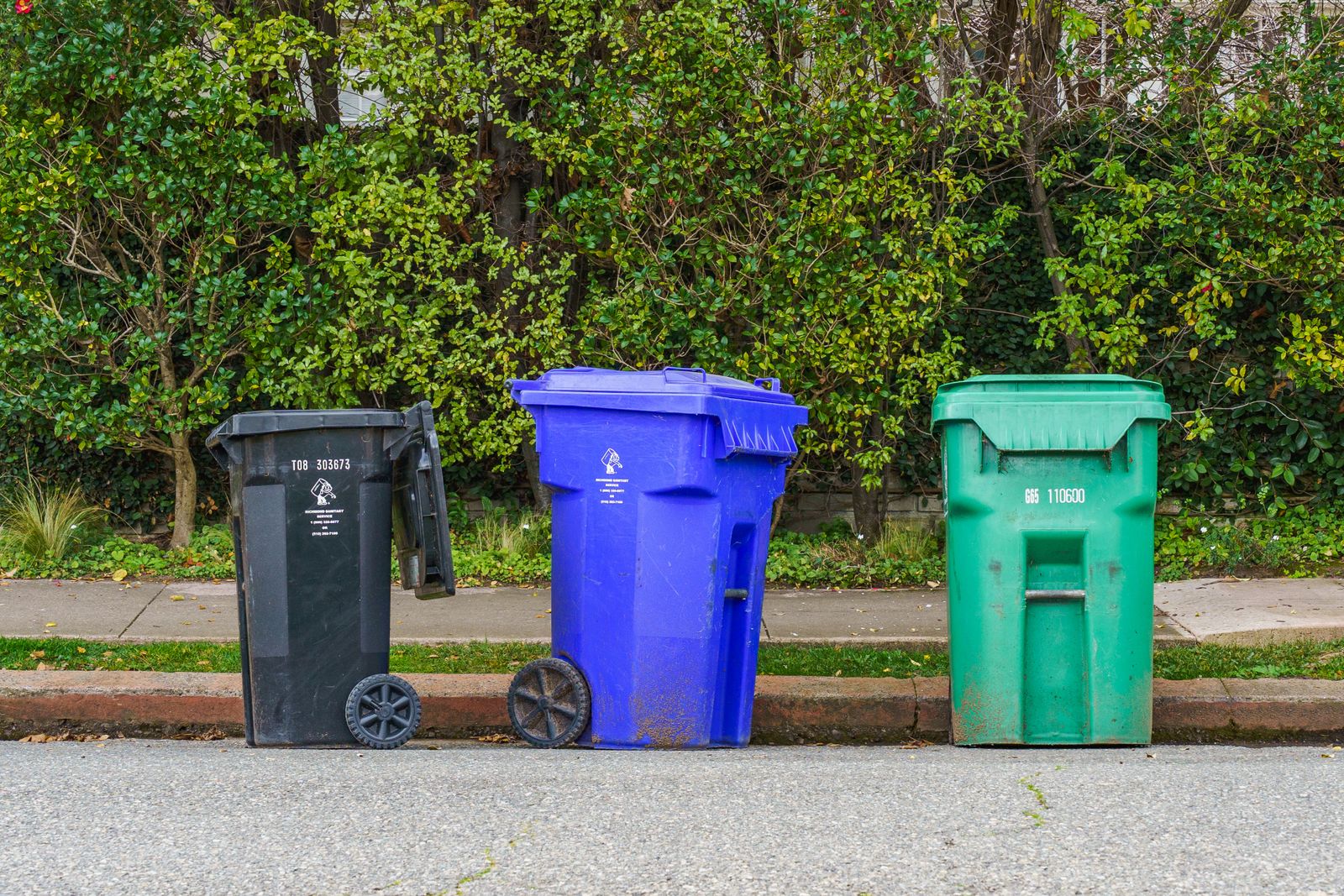 New Neighbor Steals a Family’s Recycling Bin, Lies About Taking It, and Gets Exposed by the Address Carved Into the Lid—Then Continues Crossing Their Driveway and Staring Through the Living-Room Window