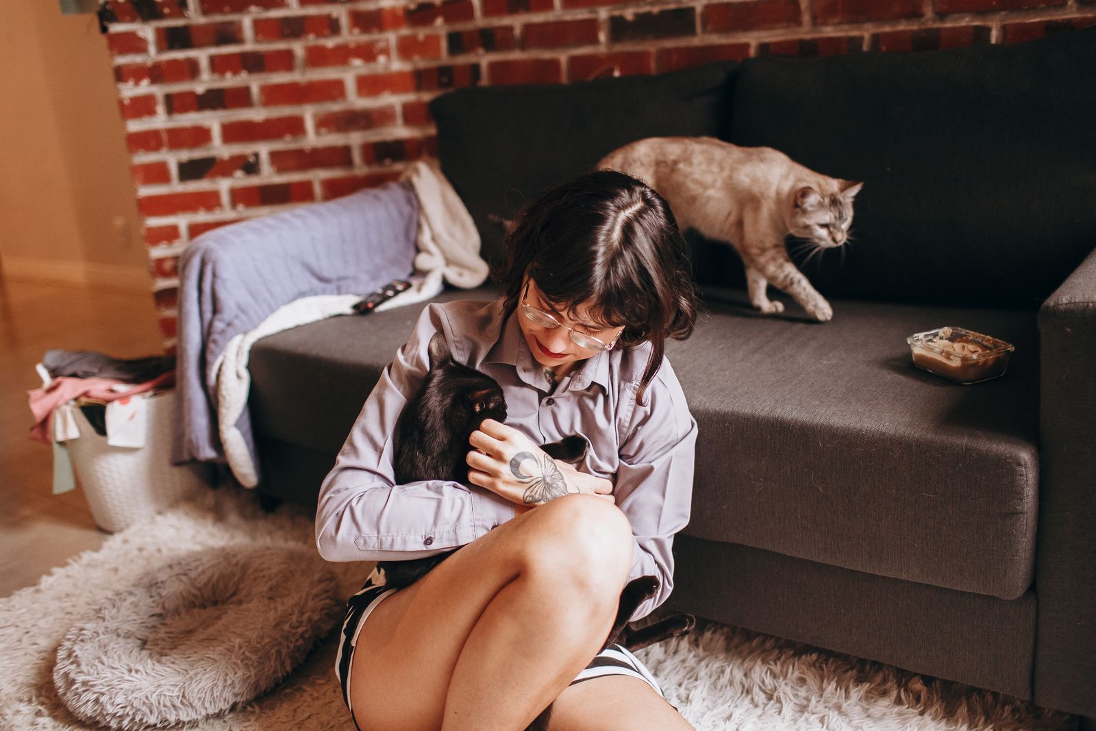 A serene scene of a woman with cats, enjoying a cozy indoor moment on a sofa.