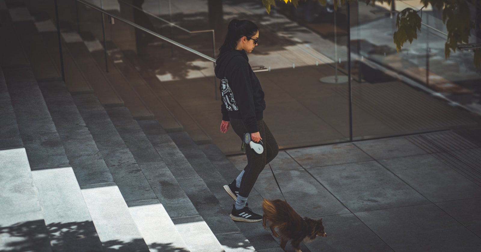 A man walking a dog down a flight of stairs