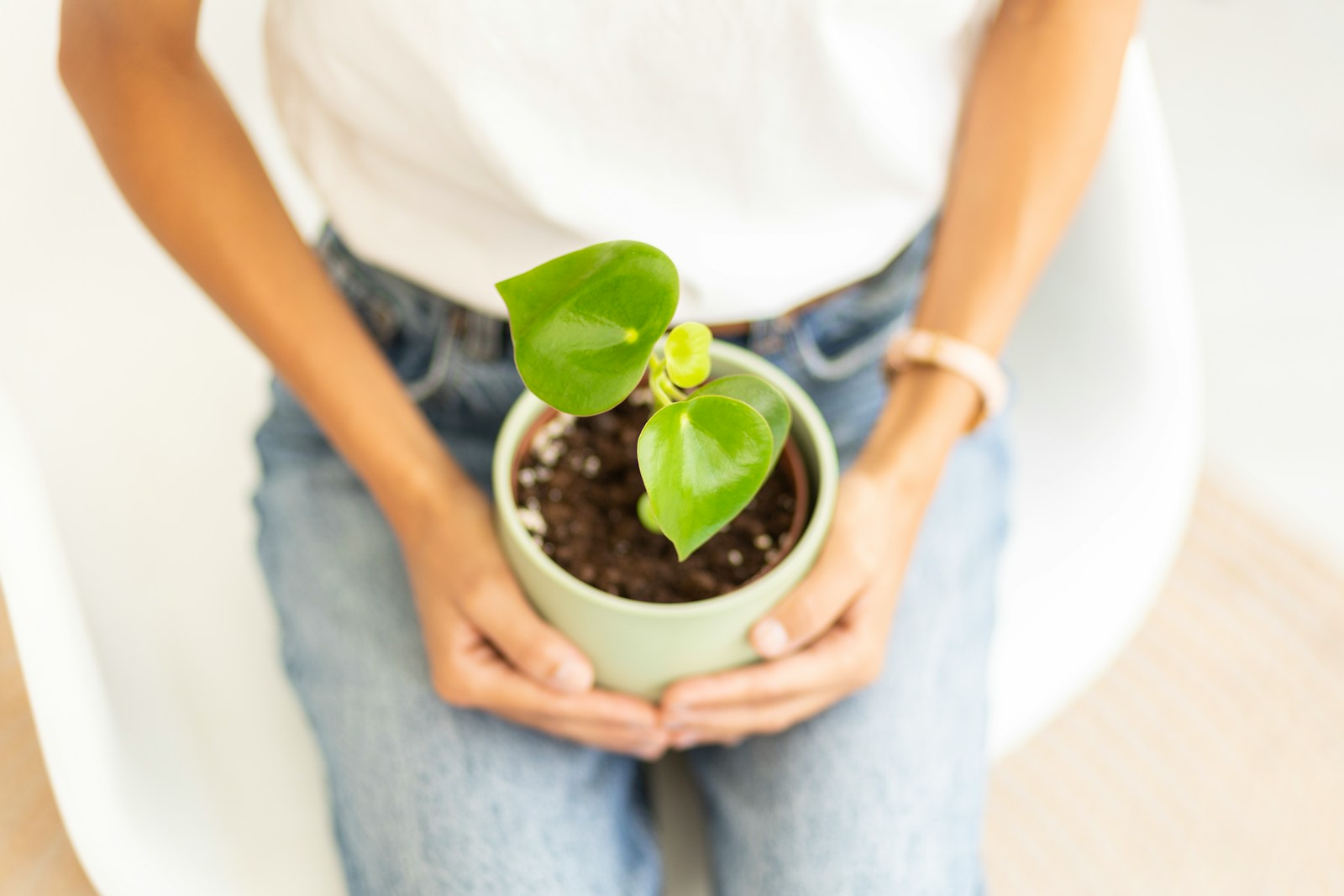 A woman holding a potted plant in her hands