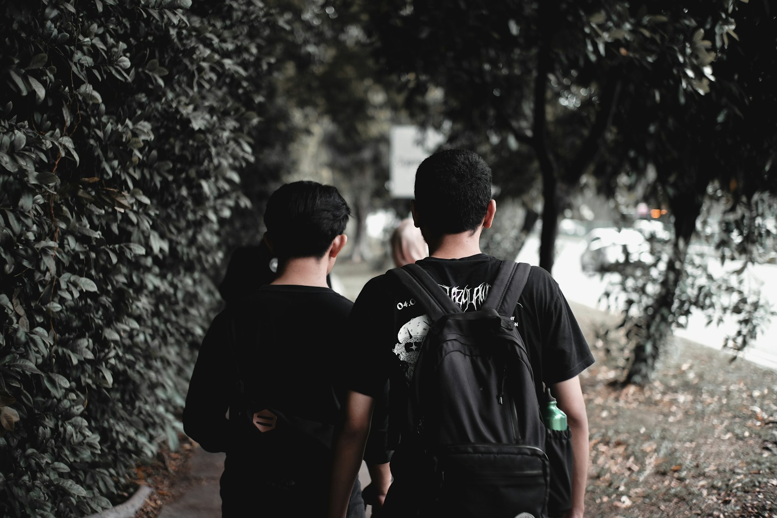 2 men in black t-shirt standing near green trees during daytime