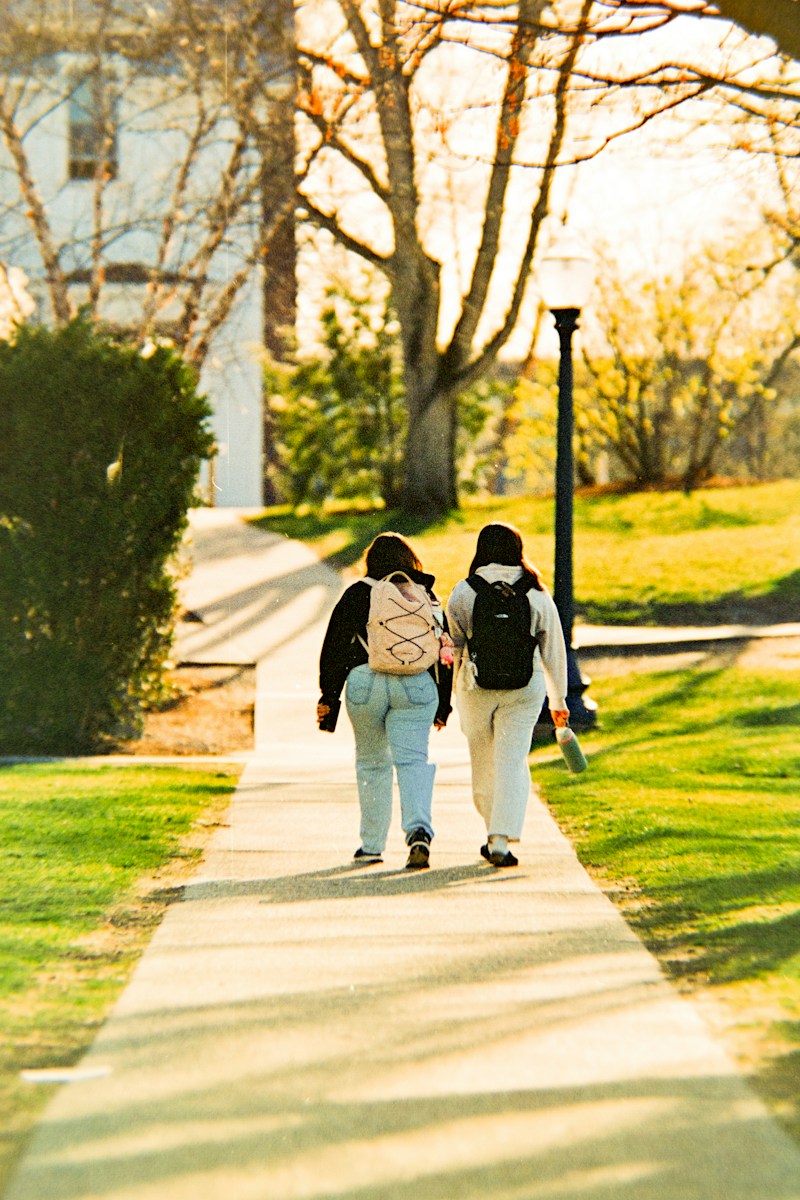 Two people walking on a path in a park