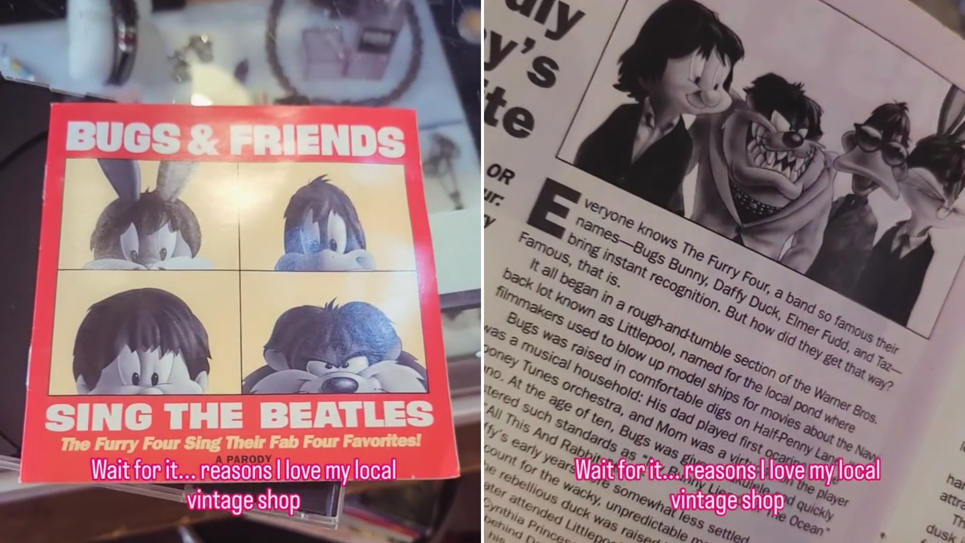 Bugs and Friends Sing the Beatles CD found at a vintage shop