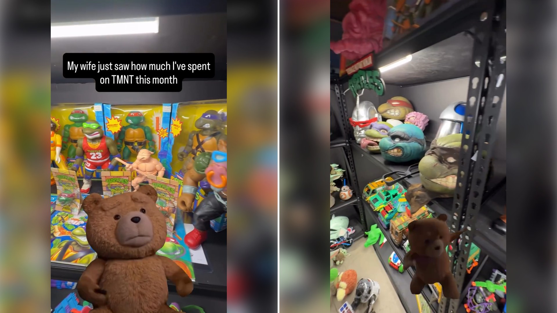 A Ted Puppet Calls Out a Collector’s Secret Spending Habit, Then the Camera Pans Across His Entire Turtle Shelf