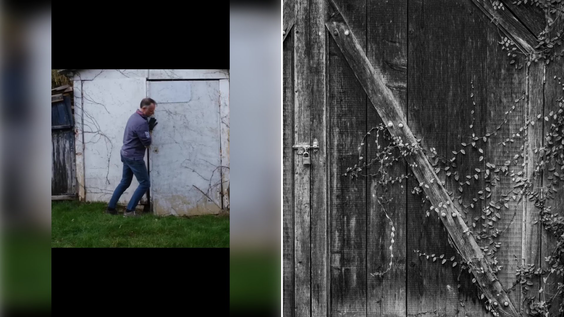 Left: cover still from a TikTok video by @automaster.dm. Right: A rustic wooden door overgrown with vines, in black and white (Unsplash photo by Elisa Stone).