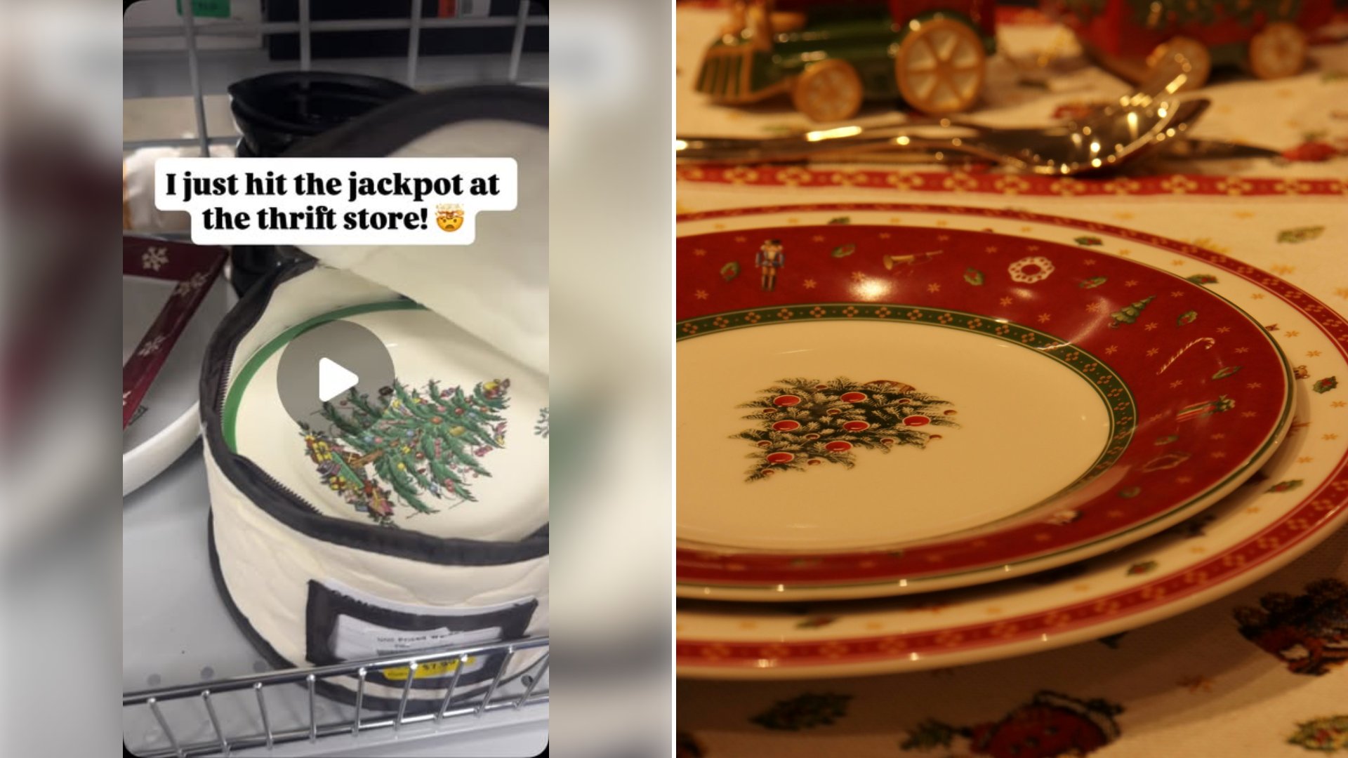 Thrift Store Shopper Unzipped a Mystery Storage Case on a Random Shelf and Found a Complete Matching Set of Vintage Spode Christmas Dinnerware Worth Hundreds of Dollars Sitting There for Pennies on the Dollar
