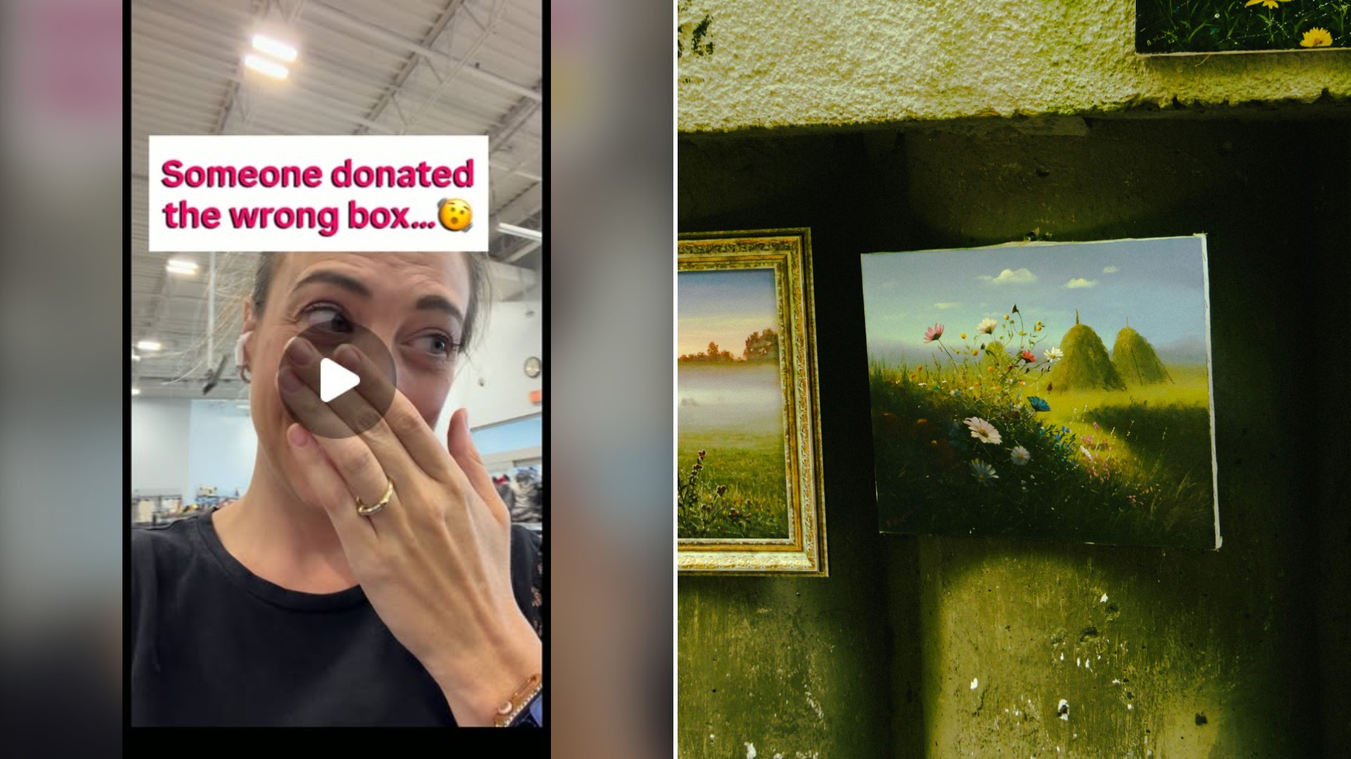 Split image with the cover of @momsgotmoney's Instagram reel, where she covers her mouth under the words Someone donated the wrong box, on the left and an Unsplash photo by Ekaterina Suleymanova on the right showing a realistic painting of a summer field with wildflowers and haystacks, mounted on a mossy green concrete wall