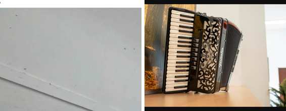 She Dug Through a Messy Thrift Store Outlet Bin and Beat Another Shopper to a Surprise Accordion That Someone Else Had Already Tried to Set Aside for Themselves First
